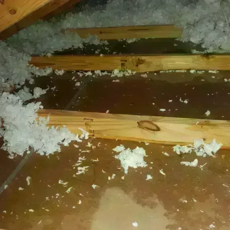 Attic Water Damage in Hot Springs National Park, AR