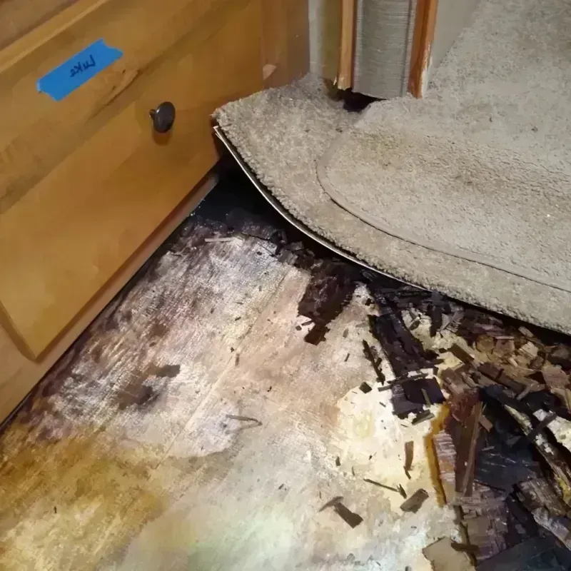 Wood Floor Water Damage in Hot Springs National Park, AR